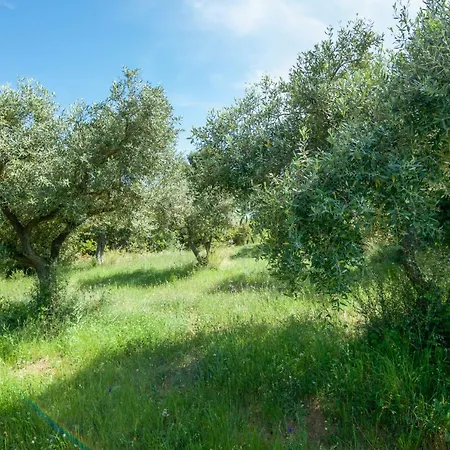 Avaton Farm בית נופש אואוראנואופולי