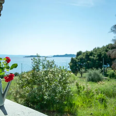 Avaton Farm Ouranoupoli